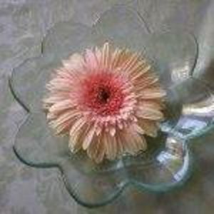 Meet your Posher, Joann